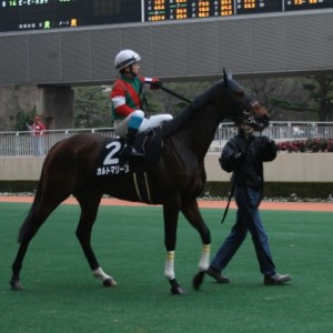 12/24 小倉12R 「志賀島特別」 芝1800ｍ