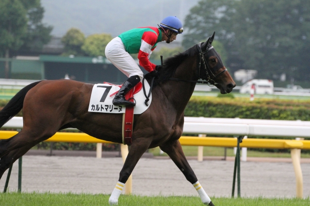 3歳以上500万下　返し馬 カルトマリーヌ