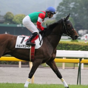 3歳以上500万下　返し馬