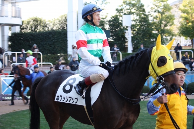 デビュー戦　パドック ホワッツアップ