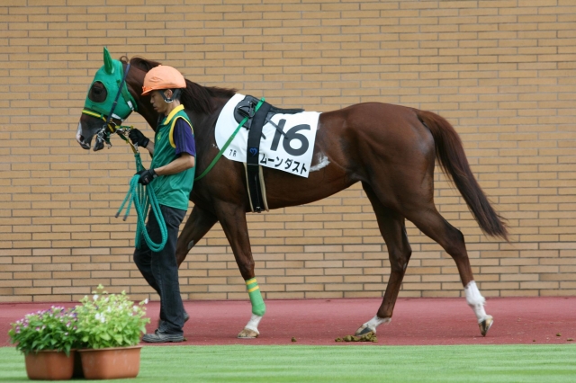 2010_8_14 新潟７Ｒ ３歳未勝利 ムーンダスト