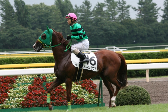 2010_8_14 新潟７Ｒ ３歳未勝利 ムーンダスト