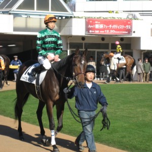 新馬戦パドック　木幡JK騎乗後周回