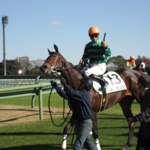 新馬　検量室前