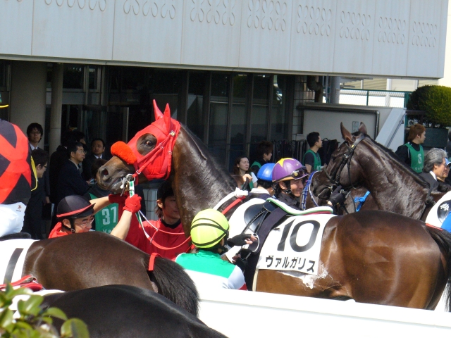 新馬戦レース後 ヴァルガリス