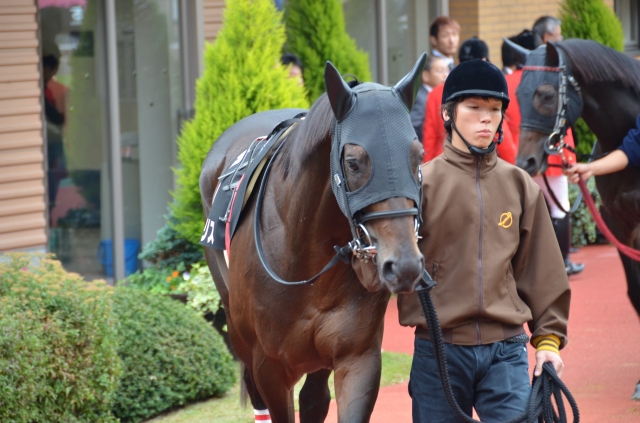 雨飾山特別パドック ヴァルガリス