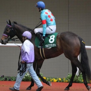 2010/3/6阪神１１Ｒチューリップ賞　パドック③