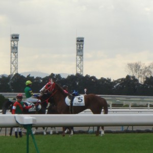 未勝利戦１４着