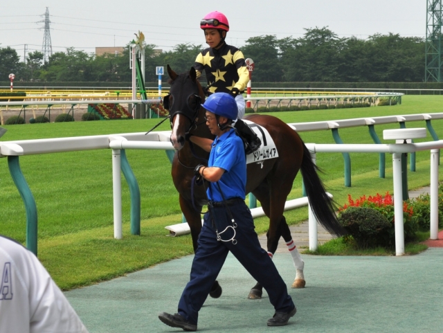 2010.7.31新潟2R未勝利　本馬場 ドリームガイア