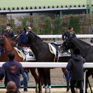 2010/1/11 中山4R 新馬