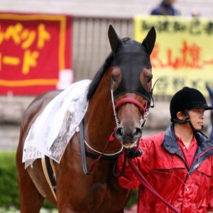 3歳以上1000万下