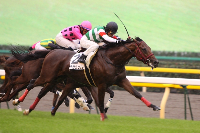 3歳以上1000万下 フラガラッハ