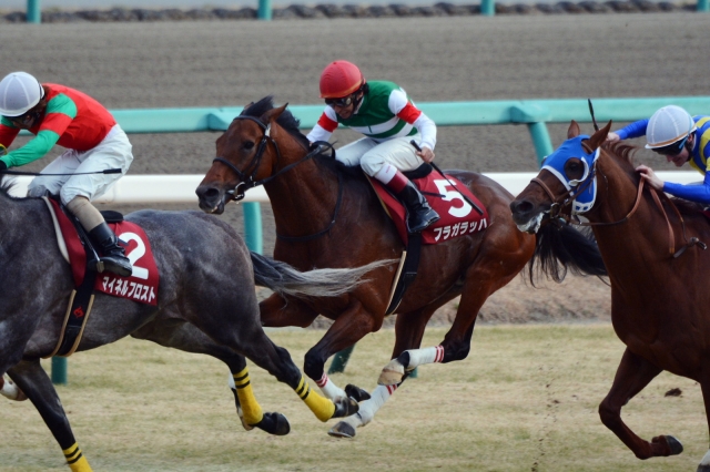 AJCC フラガラッハ