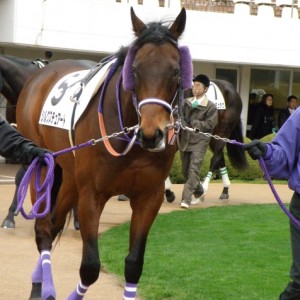 2010/2/27中山3R新馬戦