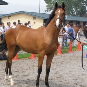 メイビーズエイム　ユニオンツアー時