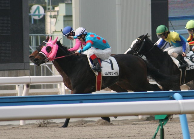 第１回小倉第５日５Ｒ４歳以上５００万下２４００Ｍダート シルクマッドネス