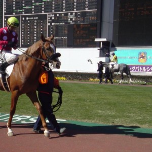 新馬戦　中京6R　（2月7日）③