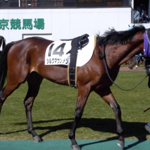 ２／７中京６Ｒ３歳新馬