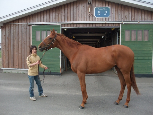 2010年5月3日ﾉｰｻﾞﾝﾌｧｰﾑ空港愛馬見学 トロサックス