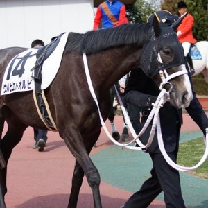 新馬（中京にて）②