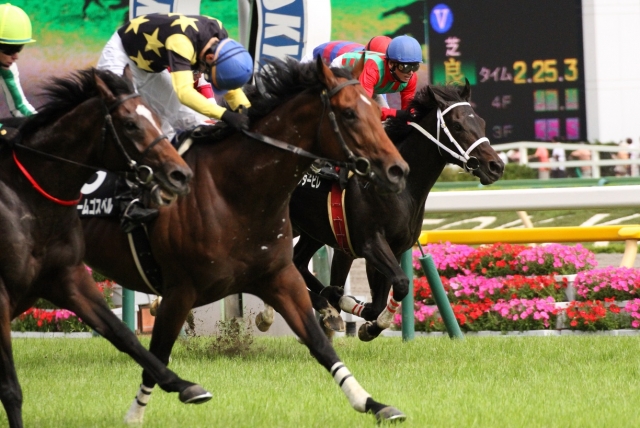 2013/6/15 芦ノ湖特別 ドリームゴスペル