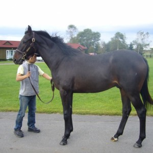 社台ファームにて