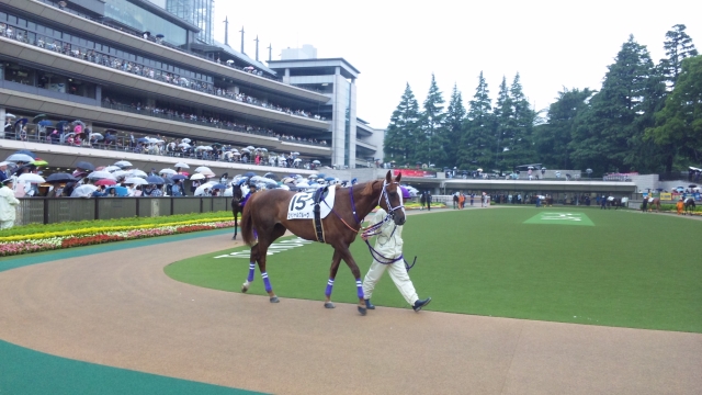 2010年5月23日未勝利戦（デビュー戦） スペシャルグルーヴ