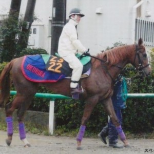 デビュー直前