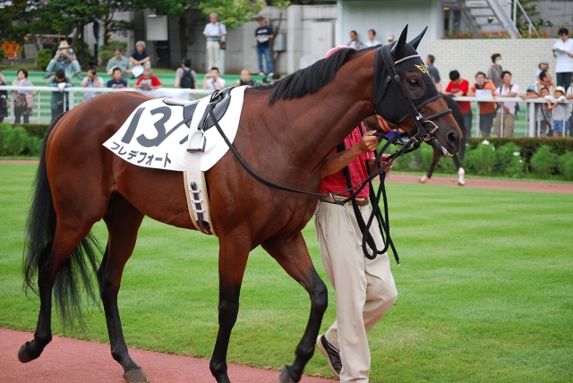 札幌競馬場パドック フレデフォート