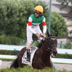 8/15 札幌6R 帰り道