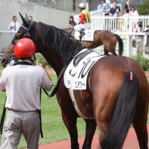9/5 札幌7R パドック