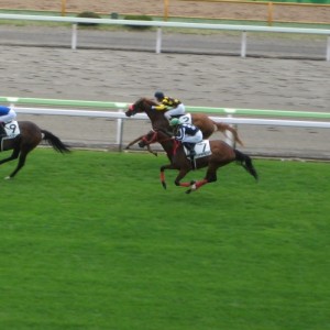 100703函館2歳新馬