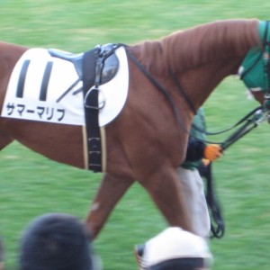 101212中山2歳未勝利