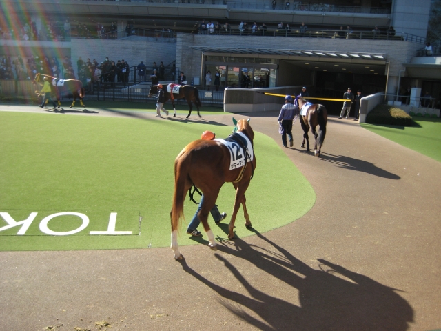 20110130東京未勝利(3) サマーマリブ