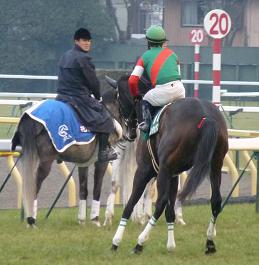 クイーンＣ返し馬　 フレンチカクタス