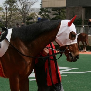 3/19　小倉4R　未勝利　芝2000ｍ