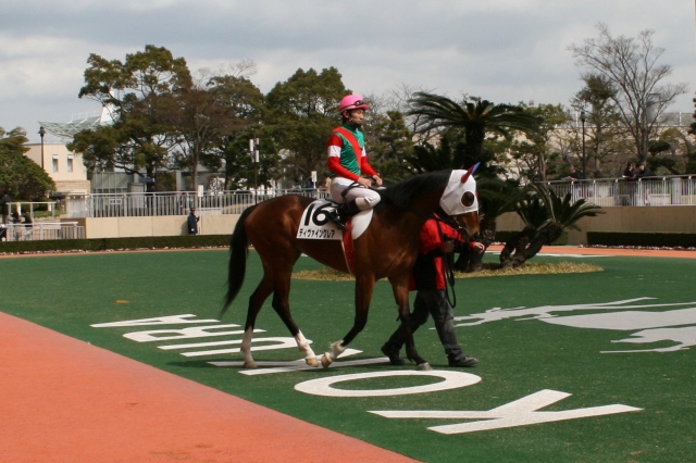 3/19　小倉4R　未勝利　芝2000ｍ ディヴァインクレア