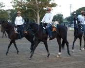 ナイスアゲイン ナイスアゲイン