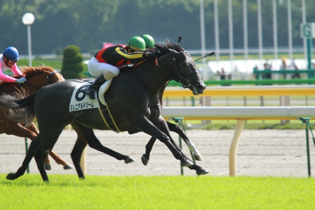 2歳新馬 ミレニアルドリーム