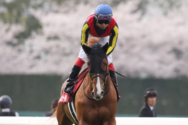 2013年2回阪神4日目11R 第57回産経大阪杯 オルフェーヴル