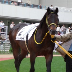 ３戦目パドック
