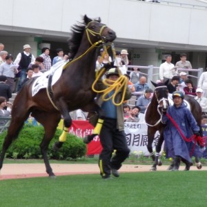 ３戦目パドック