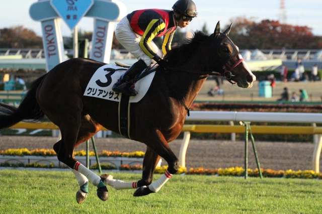 3歳以上1000万下 返し馬 クリアンサス