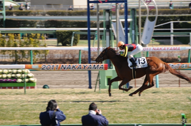 中山6R未勝利戦 タウレプトン