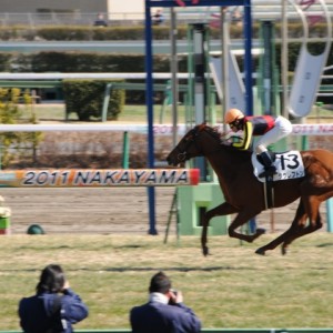 中山6R未勝利戦