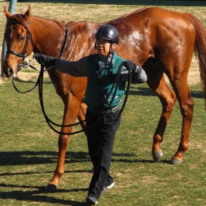 初勝利ウイナーズサークル