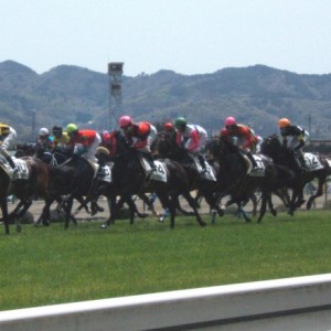 福島競馬場　スタートダッシュを決め込んで！