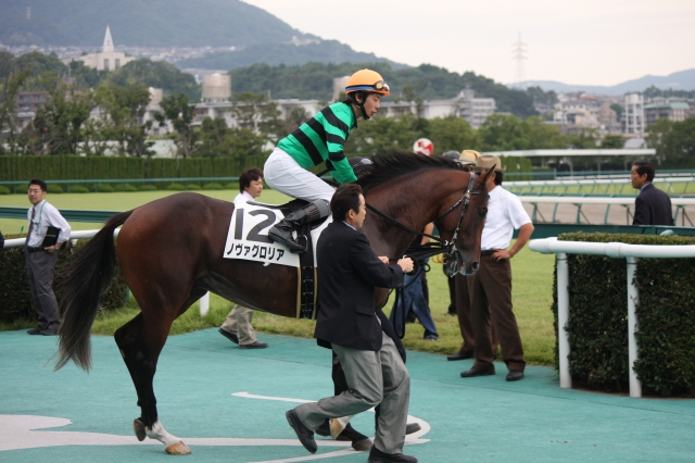 未勝利戦馬場入場 ノヴァグロリア