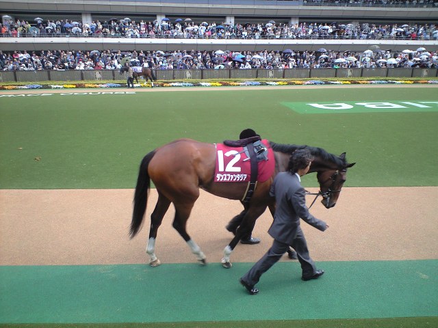 20110423 フローラステークス/パドック ダンスファンタジア