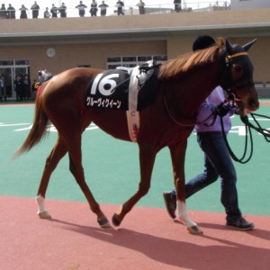 平成24年3月10日熊野特別１